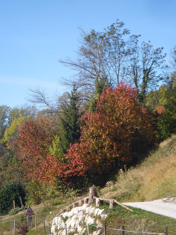 Gite Le Cerf De Belledonne Sainte-Agnes  Exterior photo